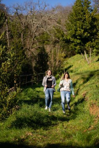 Agroturismo Agriturismo Bellandi