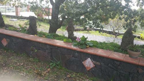 Monolocale Alle Pendici Dell'etna