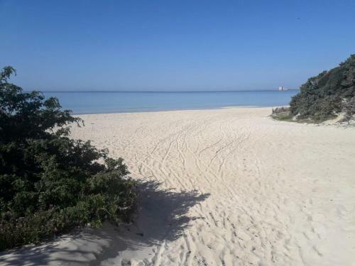 Apartamento Appartamento A 20 Metri Dalla Spiaggia