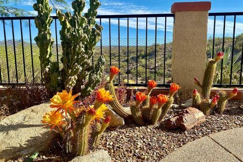 Oro Valley Getaway With Patio, Bbq And Mtn Views!