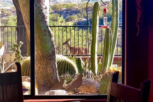 Oro Valley Getaway With Patio, Bbq And Mtn Views!