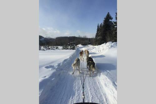 Apartamento The Mountainside By Escapades Tremblant