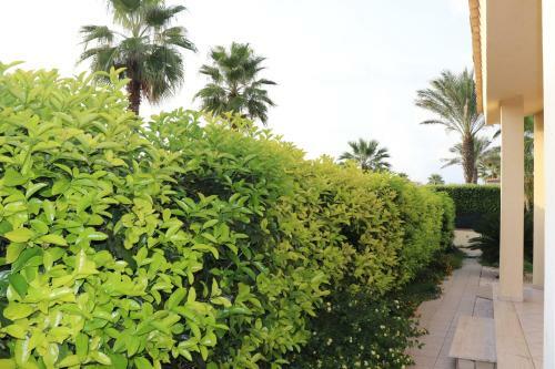 Villa La Terrazza Sul Mare Con Nuova Piscina Privata