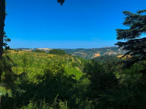 Apartamento Casetta Sulle Colline Del San Giovese