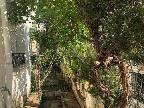 Hostal Can Pau Guesthouse