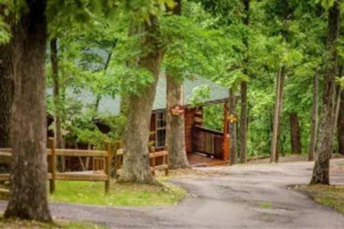 Secluded 1 Story Cabin Pool Wifi Smart Tvs