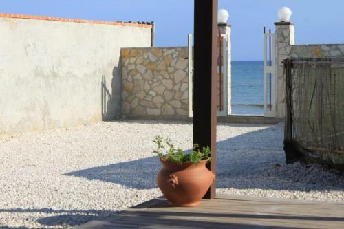 Camping Venere