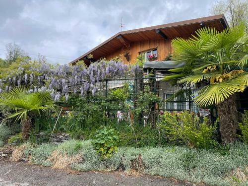 Bed & Breakfast Al Cervo Tra I Laghi
