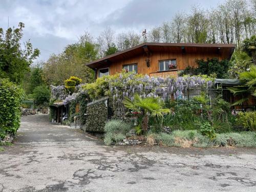 Bed & Breakfast Al Cervo Tra I Laghi