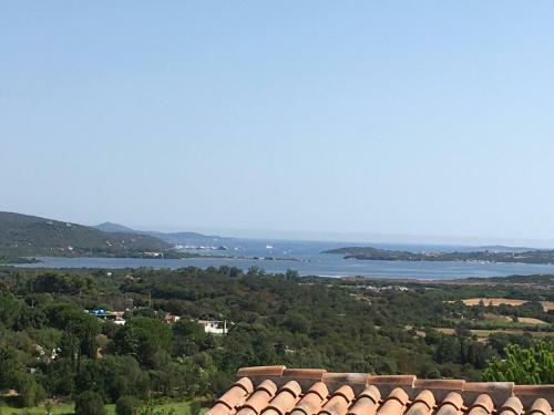 Apartamento Monolocale Zona Porto Rotondo