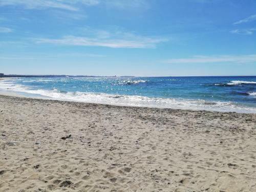 Lido Conchiglie Near The Sea