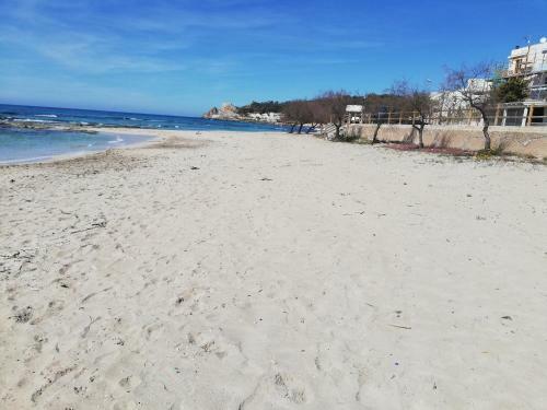 Lido Conchiglie Near The Sea