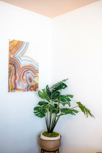 Phoenix Bohemian Hideaway