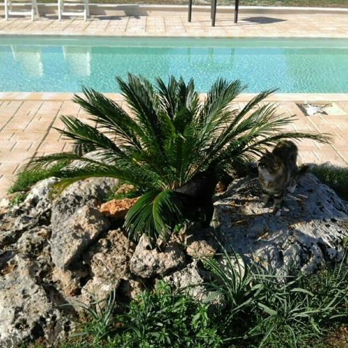 Agroturismo Tenuta Divino Bacco