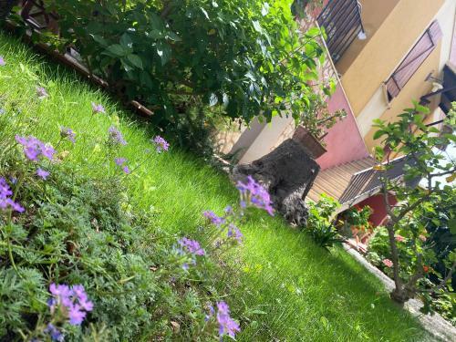 Villa Bonagia Cottage