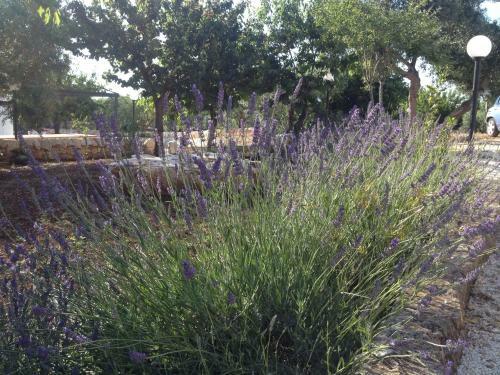 Bed & Breakfast Aria Di Casa Country Resort