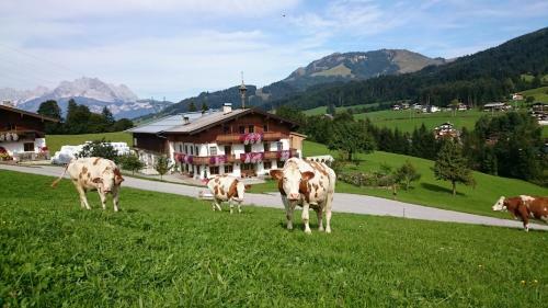 Agroturismo Bio-bauernhof Niederlehen