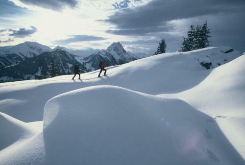 Apartamento Ferienwohnungen Harasser - Erleben