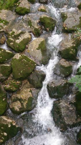 Hostal Apart Garni Arosa