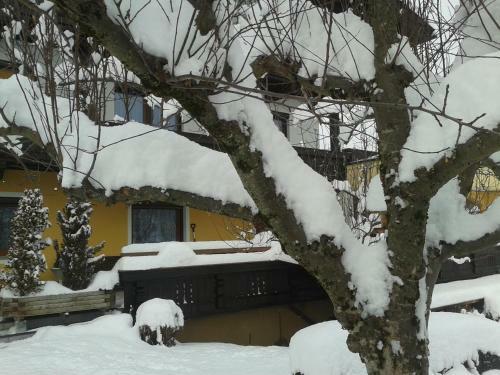 Apart Kofler's Panorama-zillertal