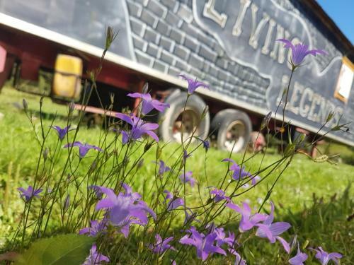 Hostal Living Legends - Tiny House Auf Den Wiesen Der Ederm�hle