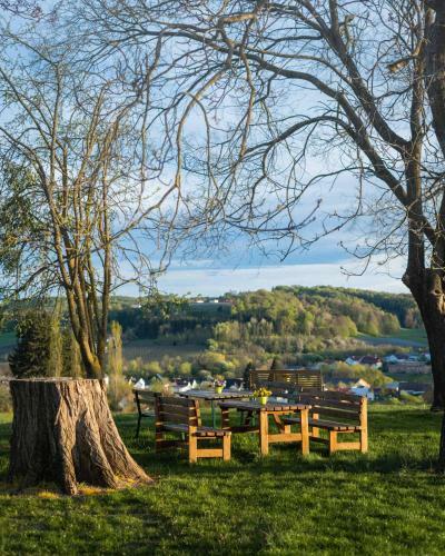 Bed & Breakfast Wein & G�stehof Erlacher