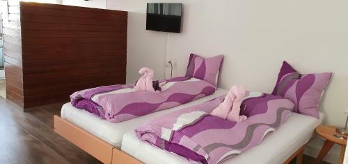 Apartamento Fortuna 216 Und 116
