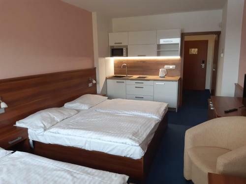 Apartm�n Wellness Hotel Frymburk