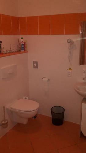 Apartamentos Exclusive Hotel Lipno Wellness & Spa