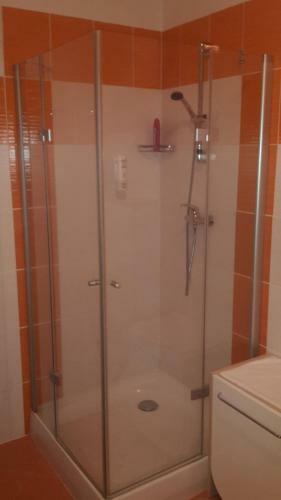 Apartamentos Exclusive Hotel Lipno Wellness & Spa