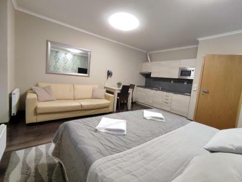 Apartamento �tuln� Studio S Balk�nem A Mo?nost� Wellness