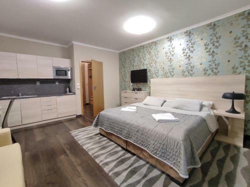 Apartamento �tuln� Studio S Balk�nem A Mo?nost� Wellness