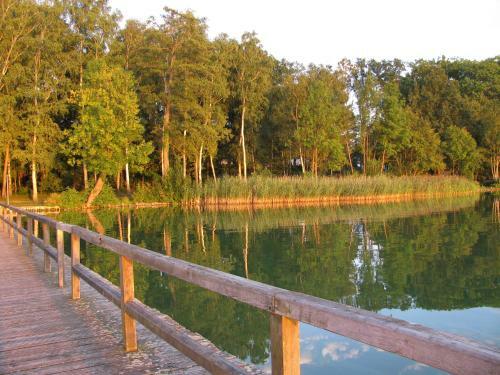 Apartamento Appartement Waldfrieden Am Scharm�tzelsee