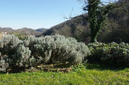 Agroturismo Agriturismo Corte Del Maso
