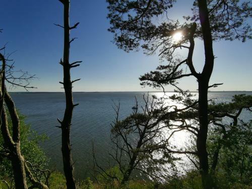 Apartment Waldblick Vom Naturhof Usedom