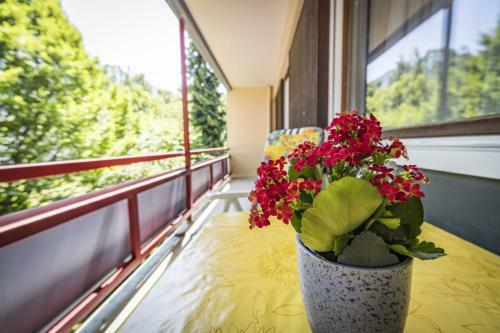 Apartamento Ferienwohnung Sophia