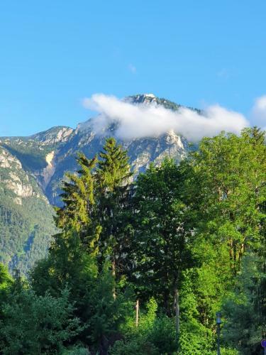 Apartamento Pension-schwarzenbach