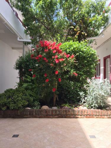 Hotel Dany