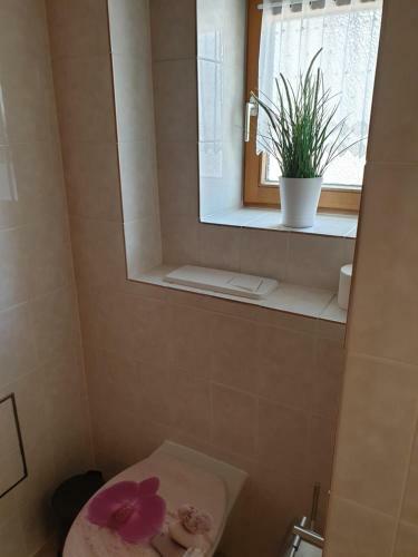 Apartamento Birke 1