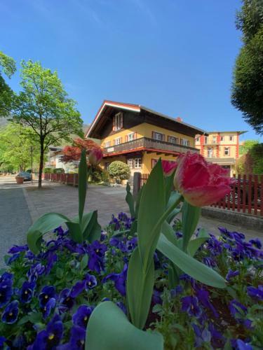 Apartamento Landhaus Luise Fly In & Sleep