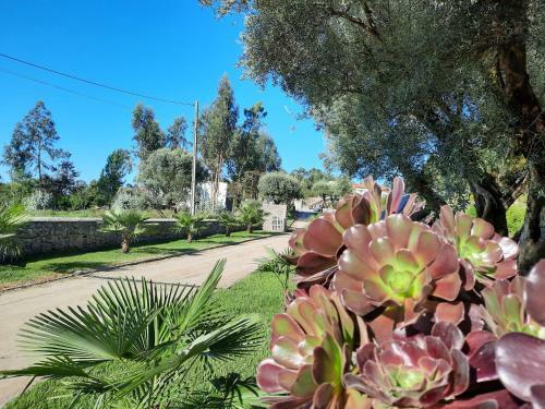 Agroturismo Quinta De Castelh�o
