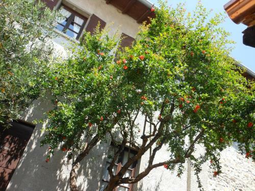 Agroturismo Agriturismo Cassinazza
