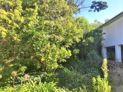 Casa Dos Pintos, Golf E Natureza