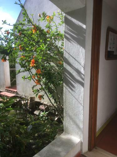Casa Dos Pintos, Golf E Natureza