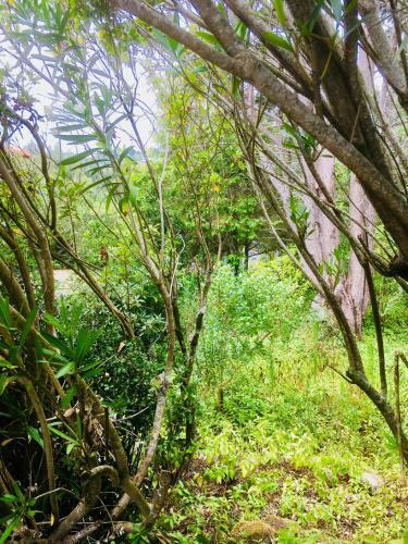 Casa Dos Pintos, Golf E Natureza