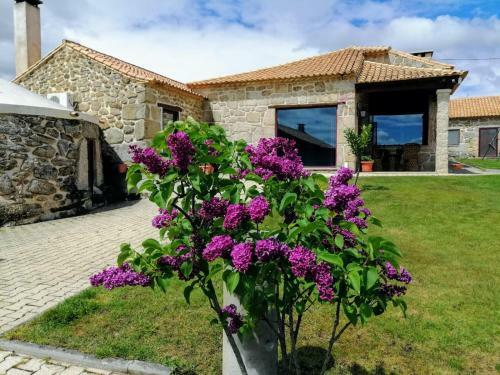 Quinta Da Ribeira