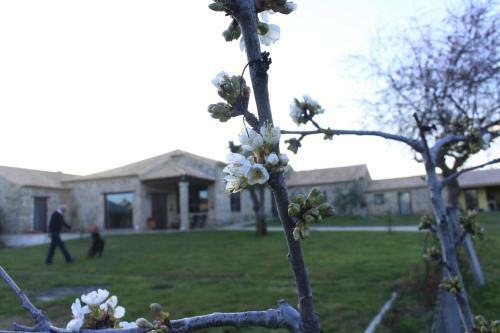 Quinta Da Ribeira