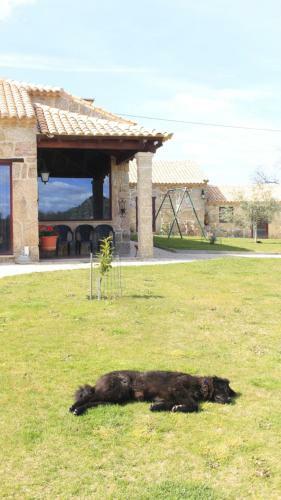 Quinta Da Ribeira