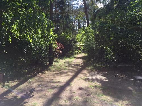 Wald Und Wohlsein