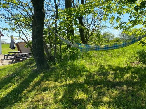 Bregnedalsgaard Bondeg�rdsferie
